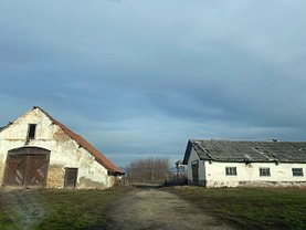 Vânzare grajd + în Coltirea
