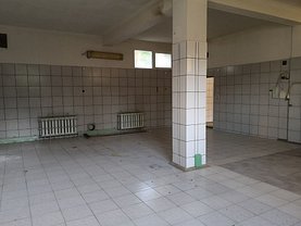 Închiriere spaţiu industrial în Sfantu Gheorghe, Ciucului