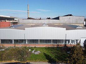 Închiriere spaţiu industrial în Drobeta Turnu-Severin, Alunis