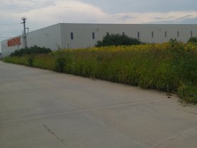 Teren construcţii de vânzare în Bolintin-Deal