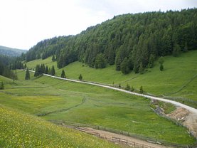 Teren faneata de vânzare în Sfoartea