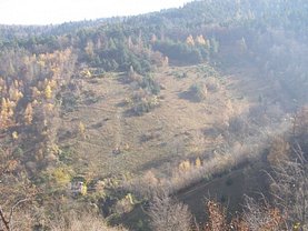Teren agricol de vânzare, în Brasov, zona Schei
