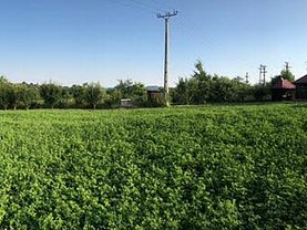 Teren constructii de vânzare, în Vaslui, zona Nord-Vest
