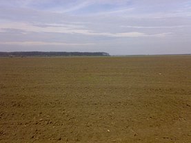 Teren agricol de vânzare, în Mogosoaia