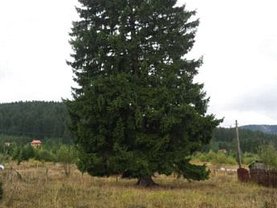 Teren faneata de vânzare în Miercurea-Ciuc, Baile Miercurea