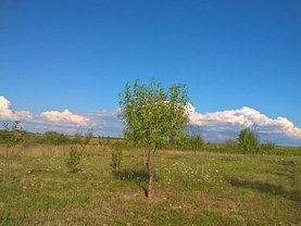 Teren livada de vânzare în Cheriu