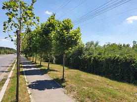 Teren construcţii de vânzare în Buciumeni