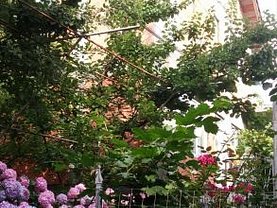 Casa de închiriat 2 camere, în Craiova, zona 1 Mai