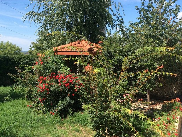 Casa Bucium Plopii Fara Sot Proprietar Casa Vila Cu Camere De