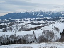 Teren faneata de vânzare în Fundata
