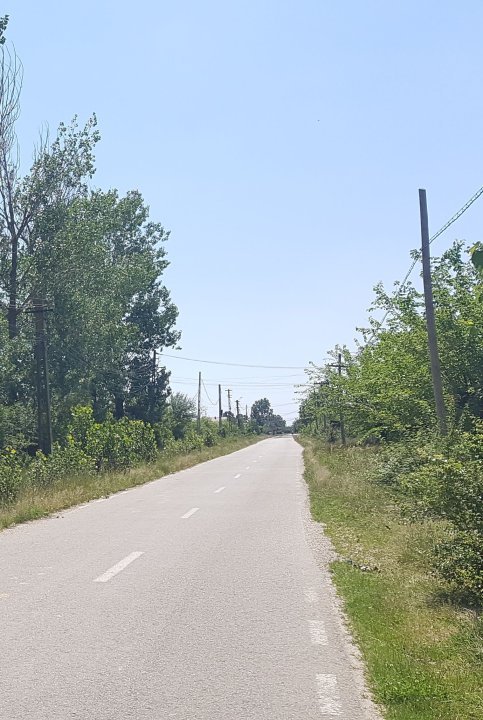 Teren 34500 mp intravilan curti constr A1 Bucuresti Pitesti - Teiu - imaginea 1