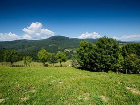 Teren pasune de vânzare în Talea