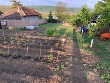 Teren construcţii de vânzare în Stefan cel Mare