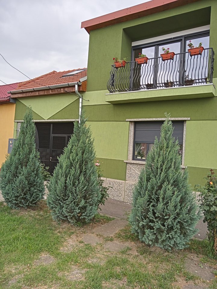 Casa mare Lugoj - imaginea 1