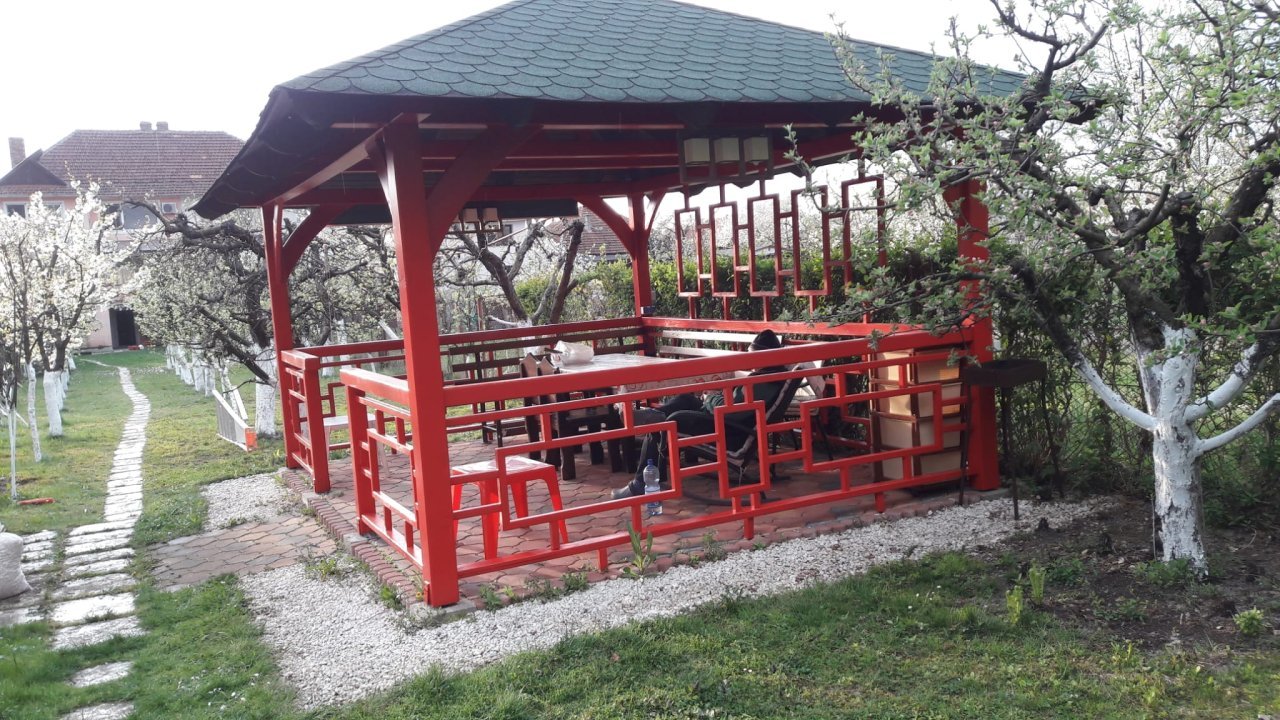 proprietar vand casa Negresti-Oas