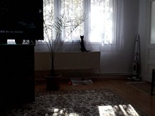 Casa 4 camere în Tecuci, Est