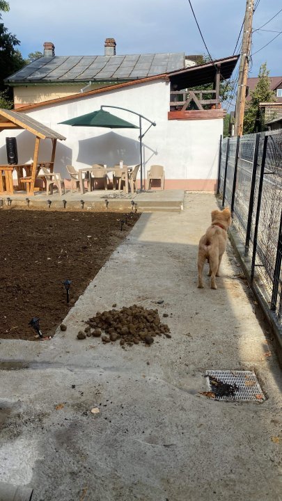 Casa de vanzare negociabil