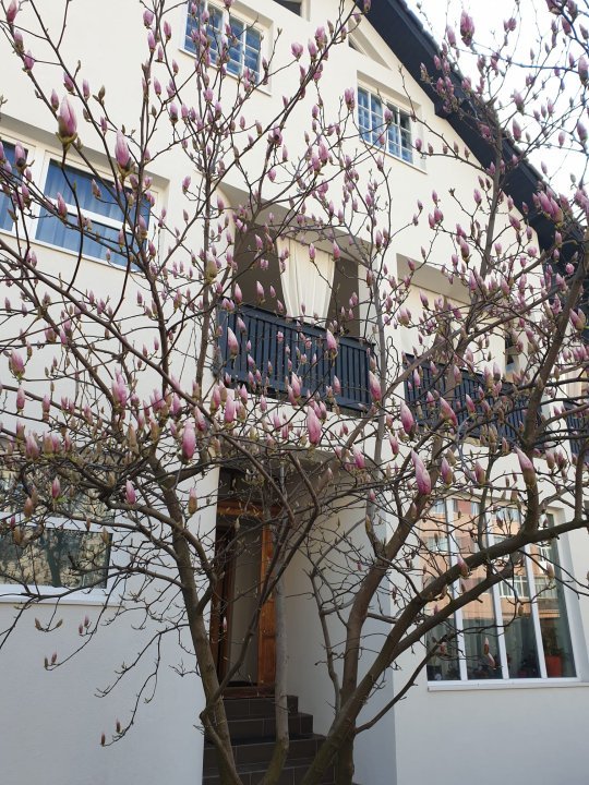 Proprietar vand Casa (cu panouri solare) compartimenta pe 3 nivele