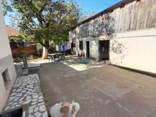 Vand Casa Cu Ari Teren Casa Vila Cu Camere De Vanzare In S Ntandrei Judetul Hunedoara