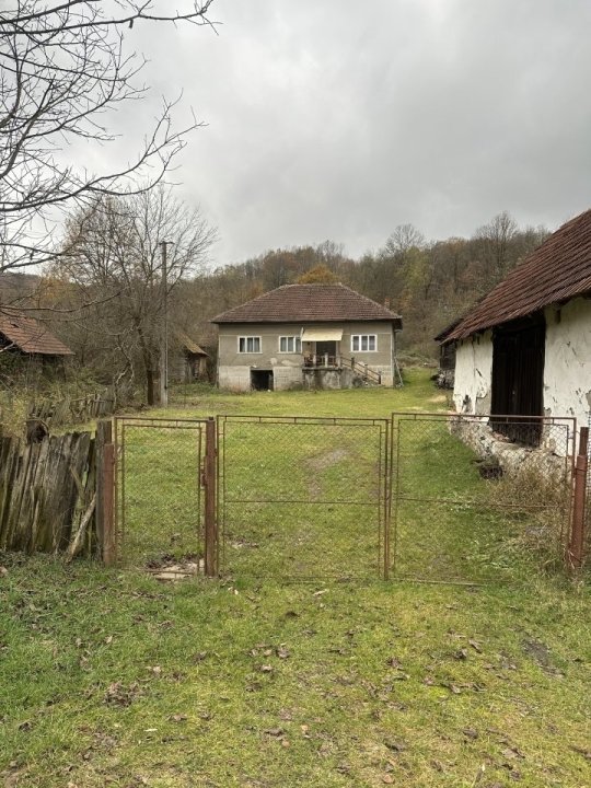 VAND CASA or BRAD jud. HUNEDOARA