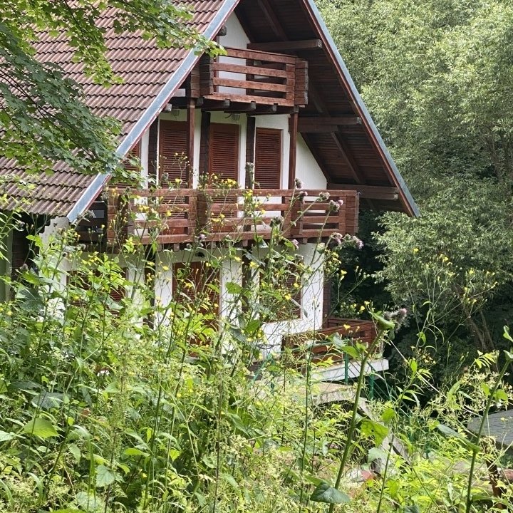 Cabana de inchiriat Satic Rucar