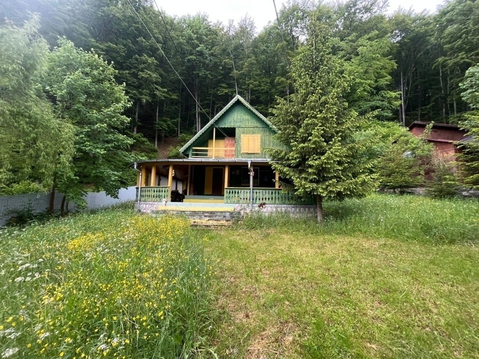 Casa de vanzare Lepsa