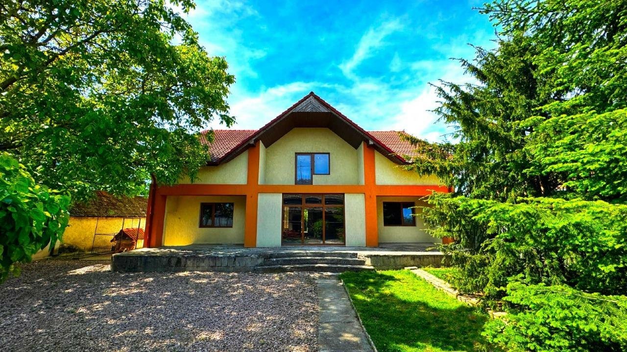 Vila in curte + Casa cu spatiu comercial la strada principala