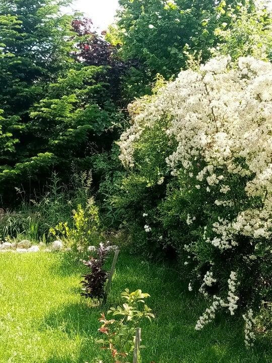 Casă, Dâmboviţa, Valea Voievozilor, Aleea Mănăstirii 