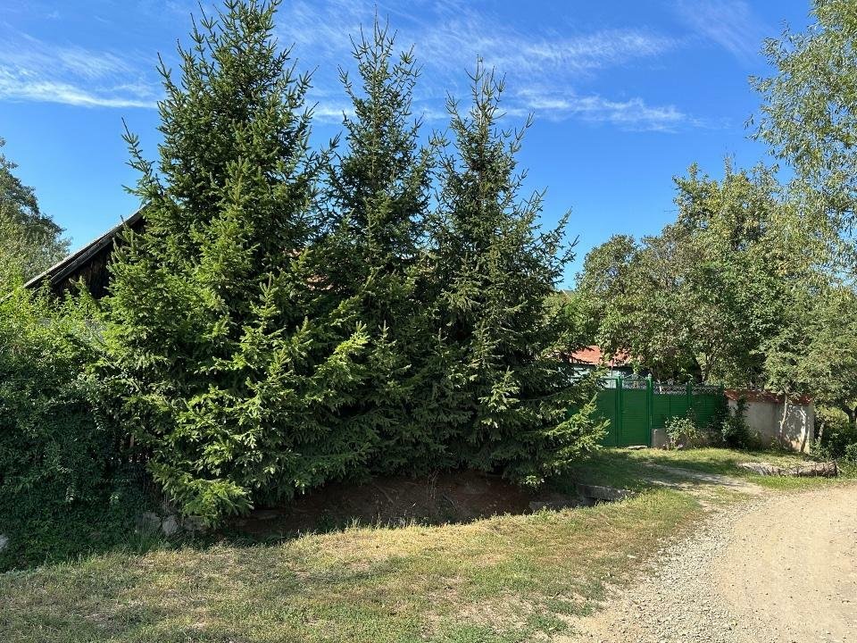 De vânzare o casă de familie situată în satul Calnic