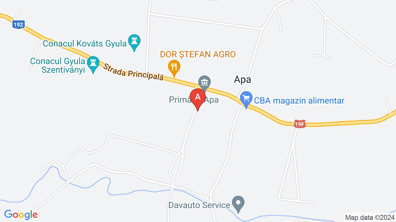 Casă şi teren de vânzare în localitatea APA jud. Satu Mare