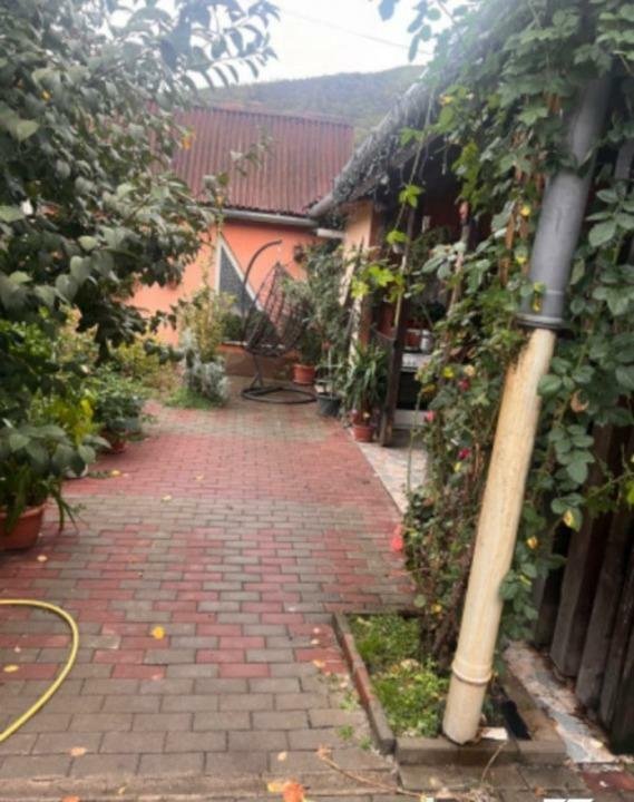 Vand casa curte si gradina