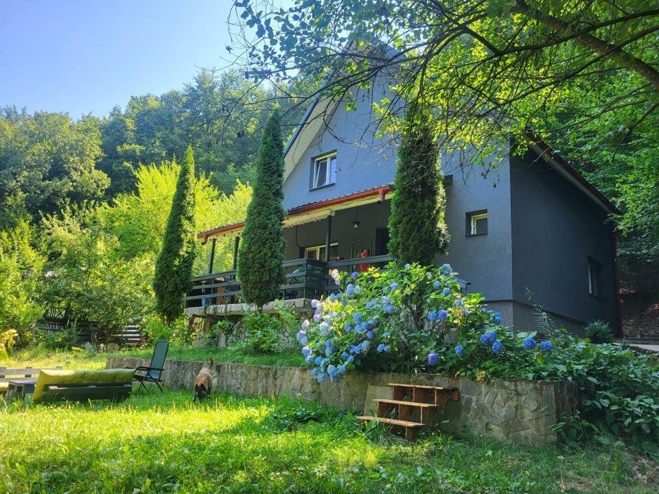 Vila / Casa de vacanţă idilică in comuna Draganu, judeţul Arges! - proprietar