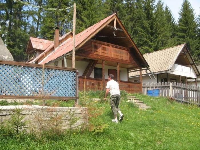 Toplita-vand cabana cu parter si mansarda, teren 1600 mp.