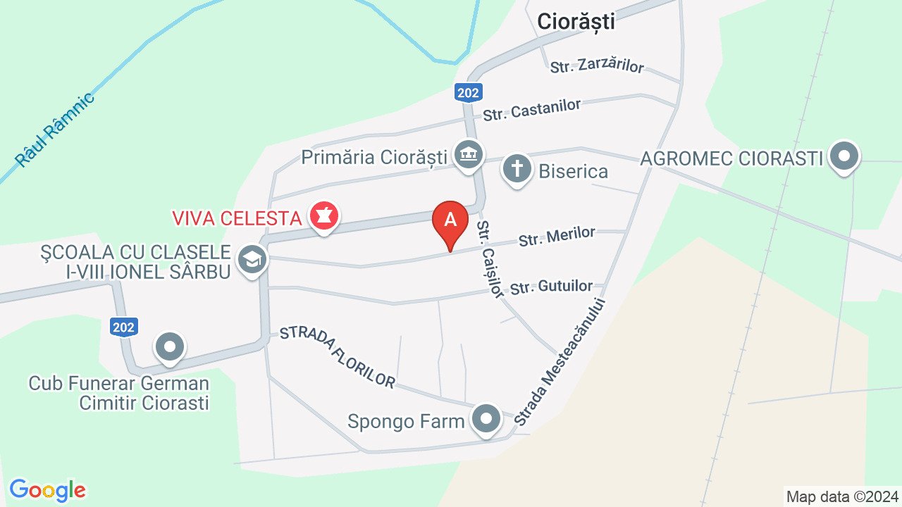CASĂ DE VÂNZARE