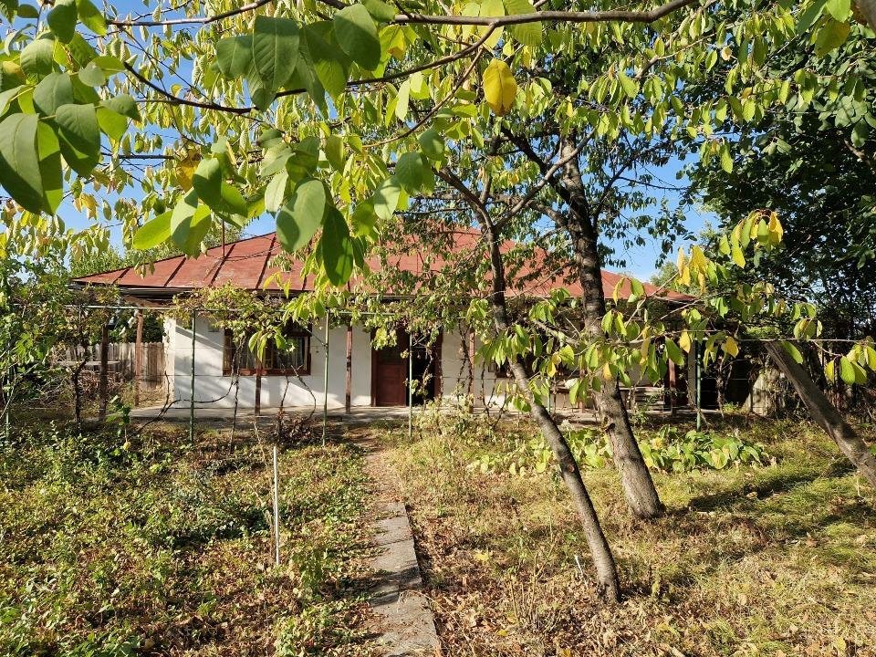 Vand casa batraneasca cu teren Gruiu-Ilfov