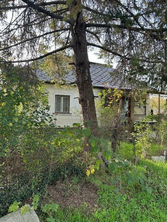 Casa in Viile Satu Mare