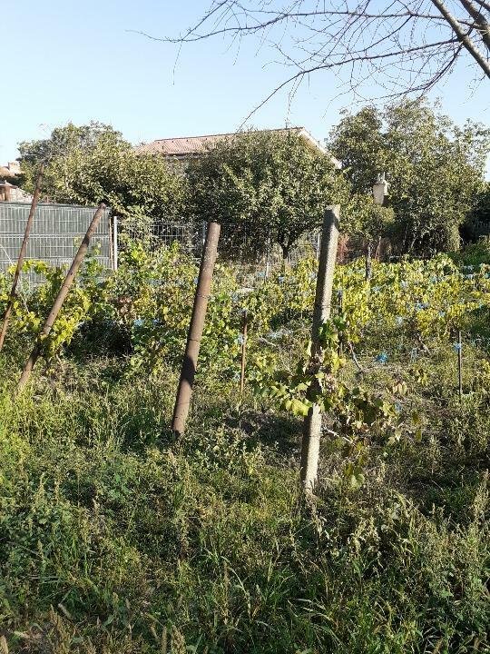 De vânzare
