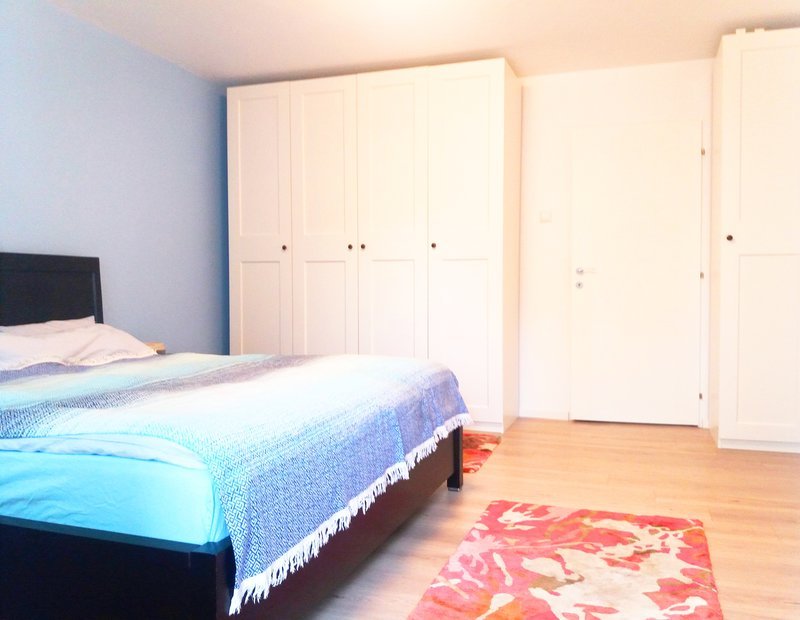 Ocazie, apartament Snagov Sat ultracentral
