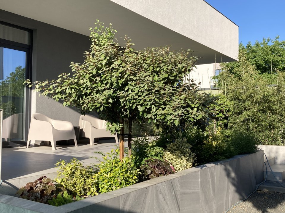 Apartament cu 3 camere si curte - direct de la proprietar