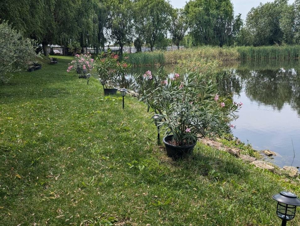 Proprietate de Vânzare în Carei â Oportunitate de Investiţie!
