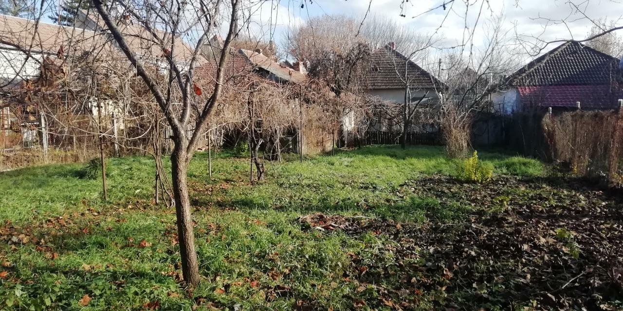 Vand casa 3 camere si bucatarie, 117 mp, suprafata teren 755 mp