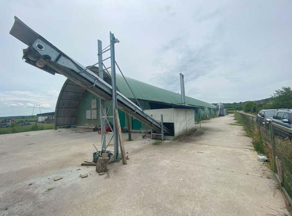 FERMĂ CREŞTERE PREPELIŢE 100.000 capete+ Mărcile Prepeliţescu şi Ferma Bunicii