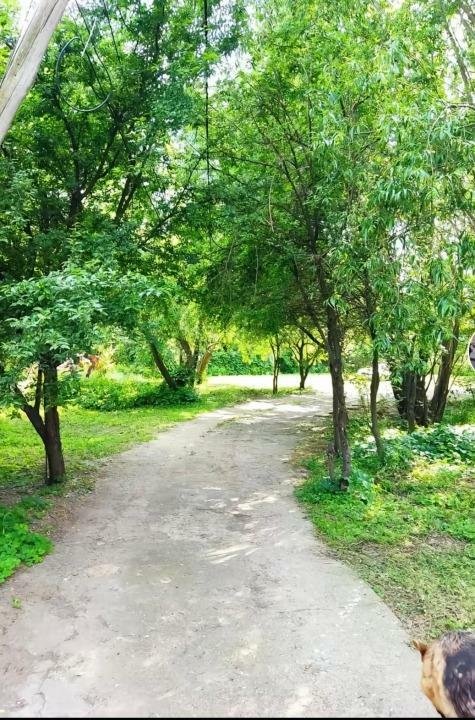 Casa de vanzare, direct proprietar, pretul este negociabil