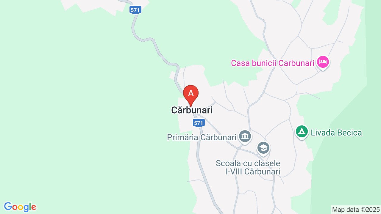 Proprietate De Vânzare în Caraş-Severin