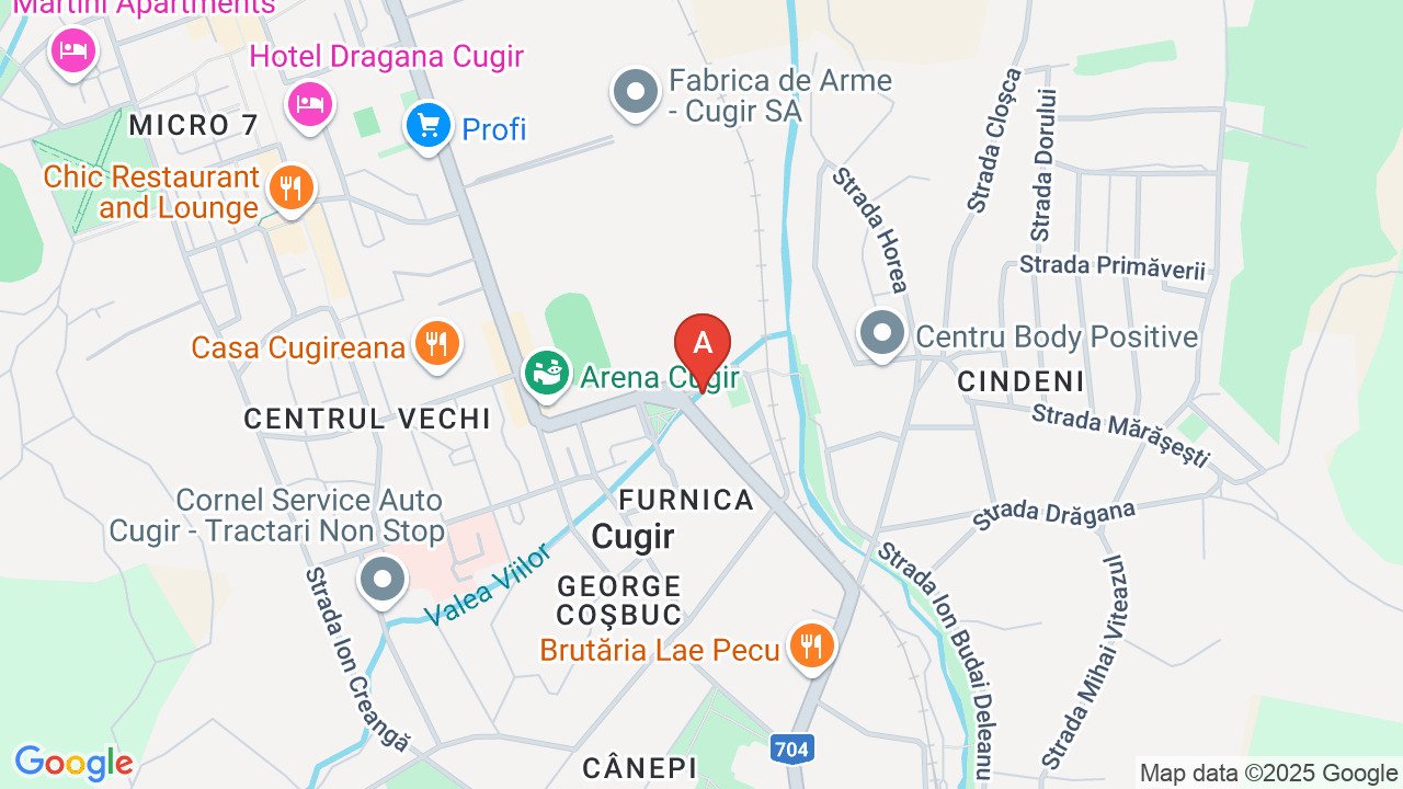 Vând apartament, garsoniera şi gradina la pachet