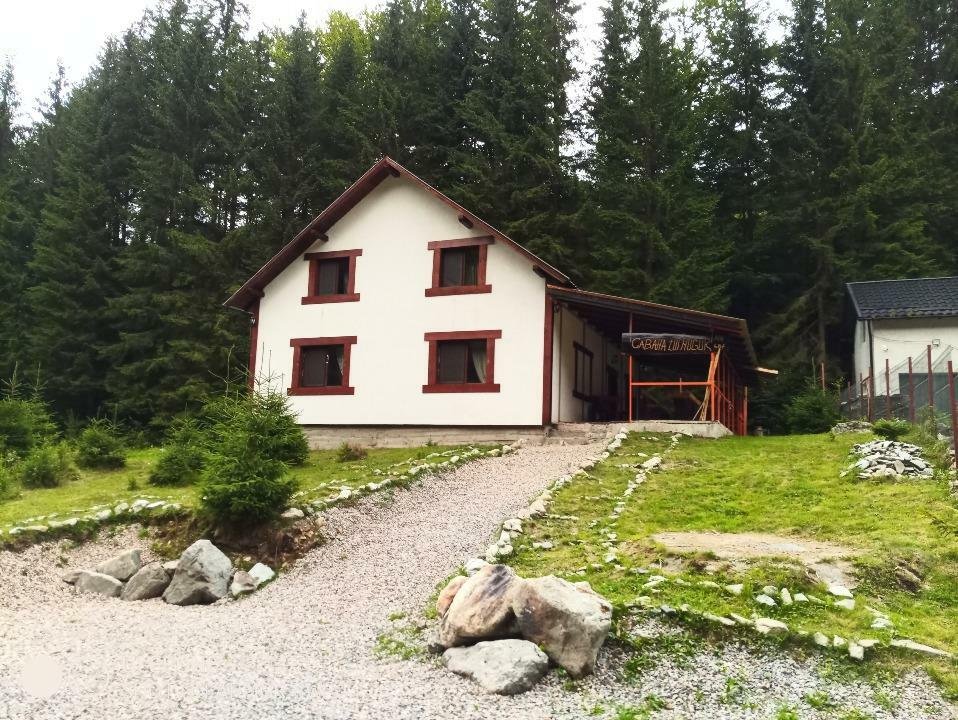 Casă de vacanţă în Pojorâta