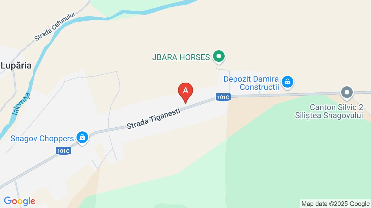 Casa cu 3 camere de închiriat