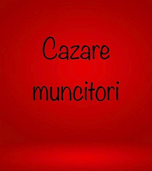 Cazare muncitori in Timisoara 38 locuri