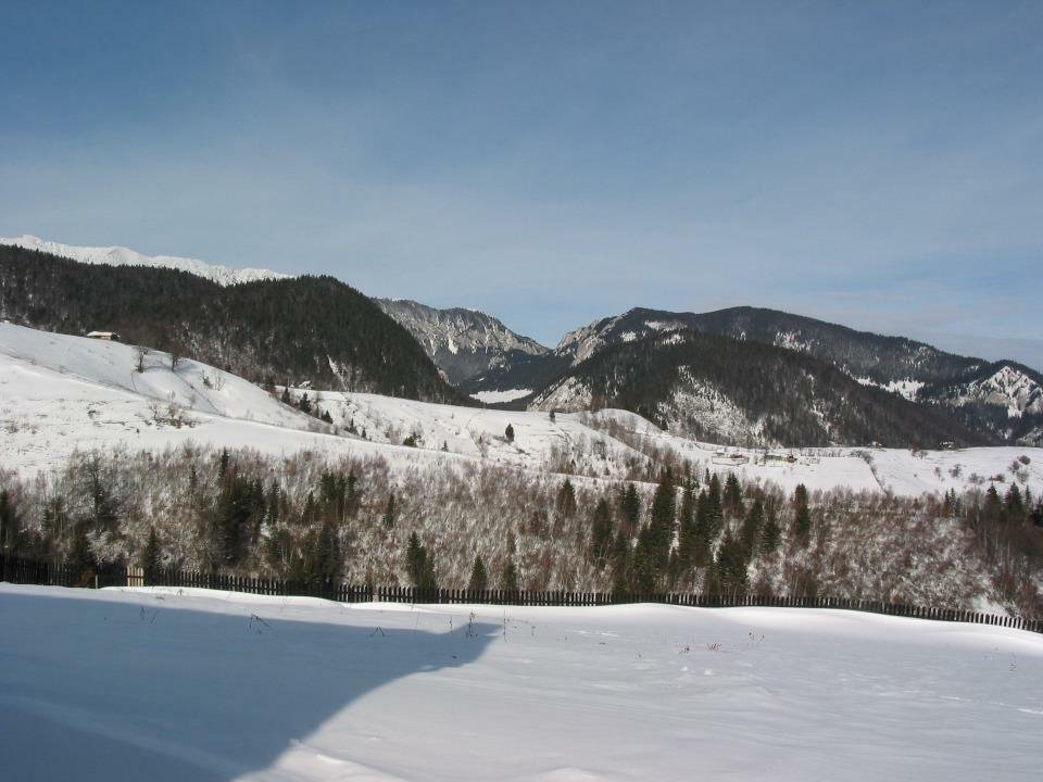 Sat Pestera, Rezervatia Piatra Craiului, Brasov, Casa plus teren 10 621 m