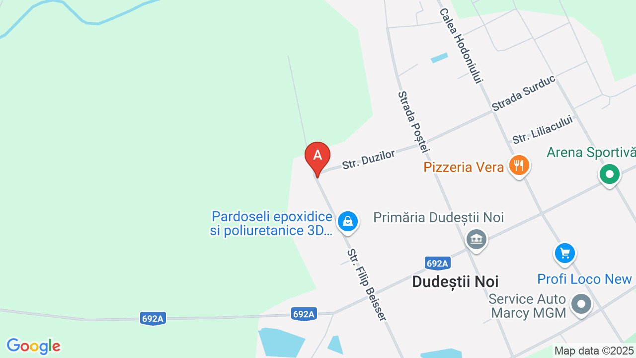 De vanzare casa la Dudestii Noi
